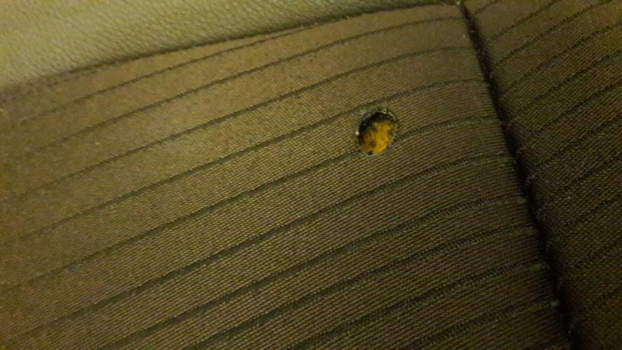 Photo de la pièce