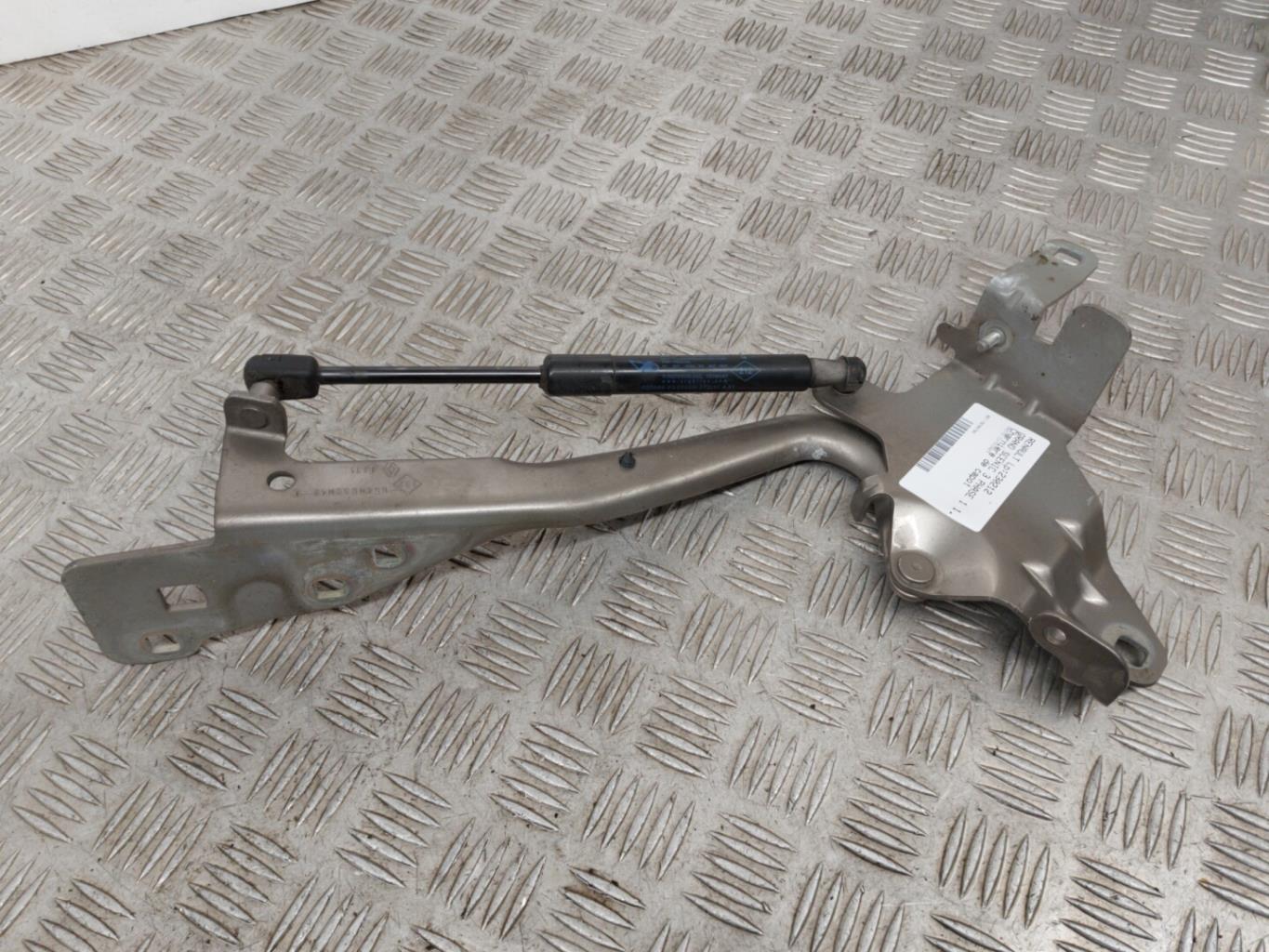 Charniere de capot RENAULT GRAND SCENIC 3 PHASE 1 Diesel - 1