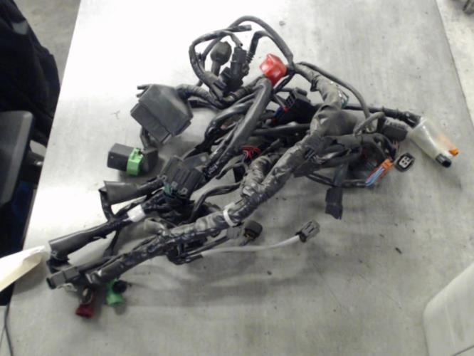 pièce détachée occasion Faisceau electrique HONDA