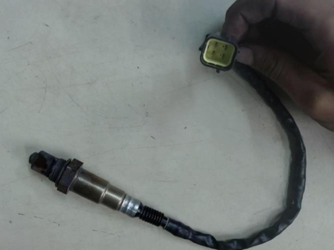 pièce détachée occasion Sonde lambda BENELLI