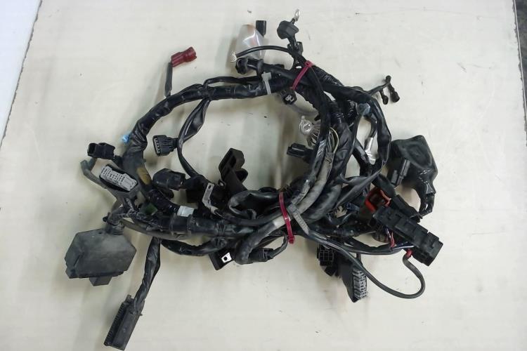 pièce détachée occasion Faisceau electrique