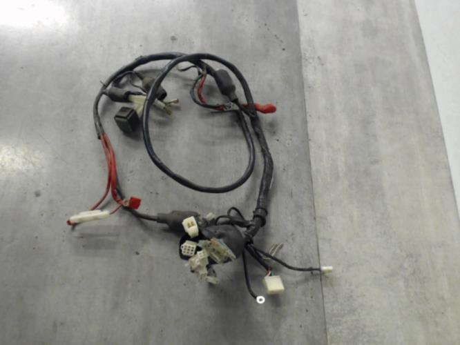 Faisceau electrique