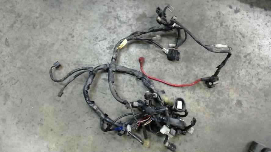 pièce détachée occasion Faisceau electrique