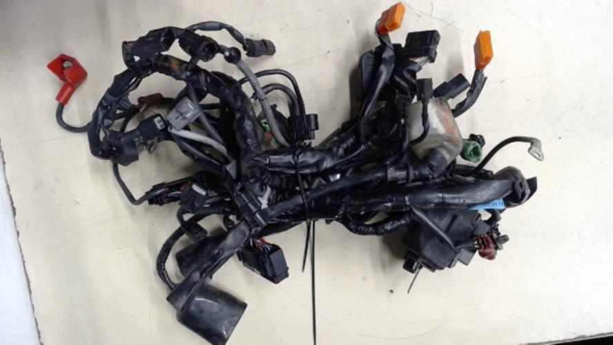 pièce détachée occasion Faisceau electrique HONDA