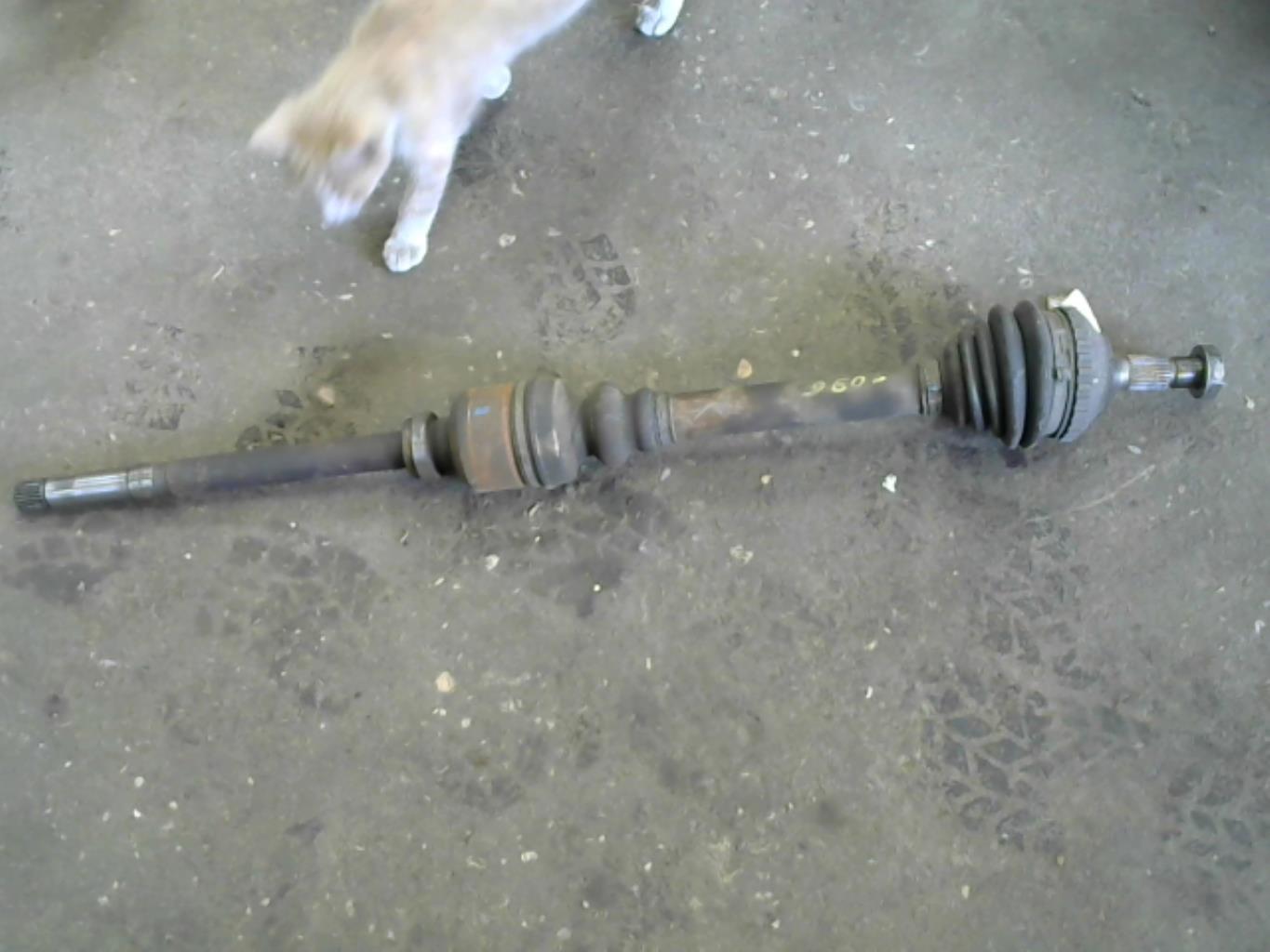 Giunto cardanico albero di trasmissione destro PEUGEOT 406 PHASE 1  - 1