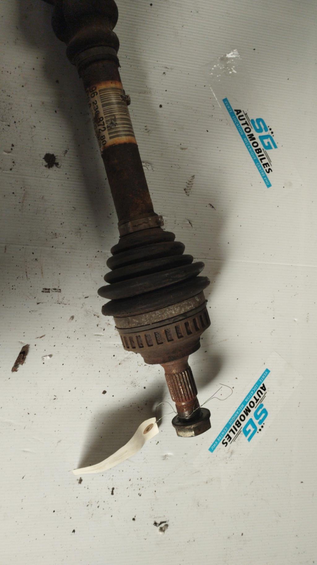 Giunto cardanico albero di trasmissione sinistro CITROEN XSARA Diésel - 1