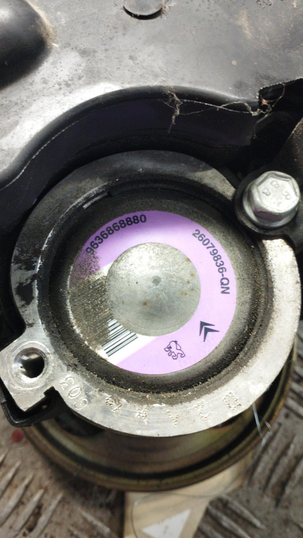 Pompa sterzo PEUGEOT 206 PHASE 1 Gasolina - 1