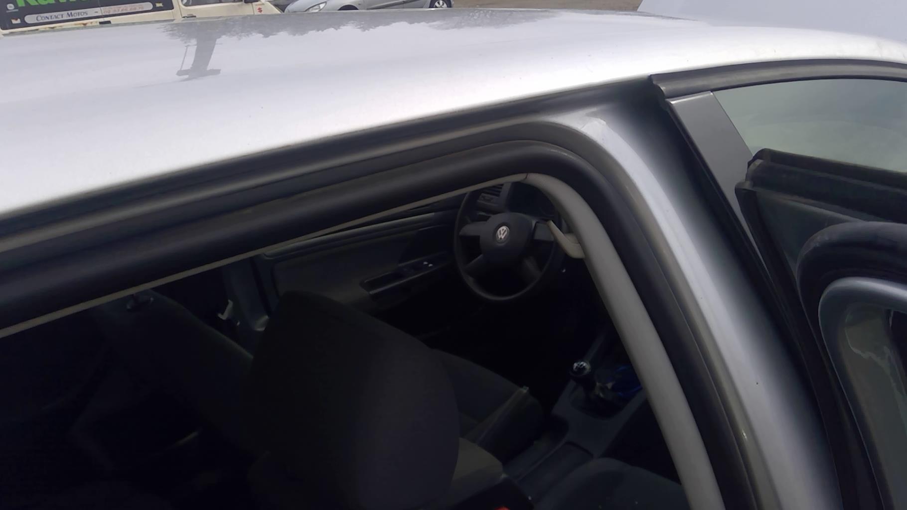 Guarnizione sportello posteriore destro VOLKSWAGEN GOLF 5  - 1