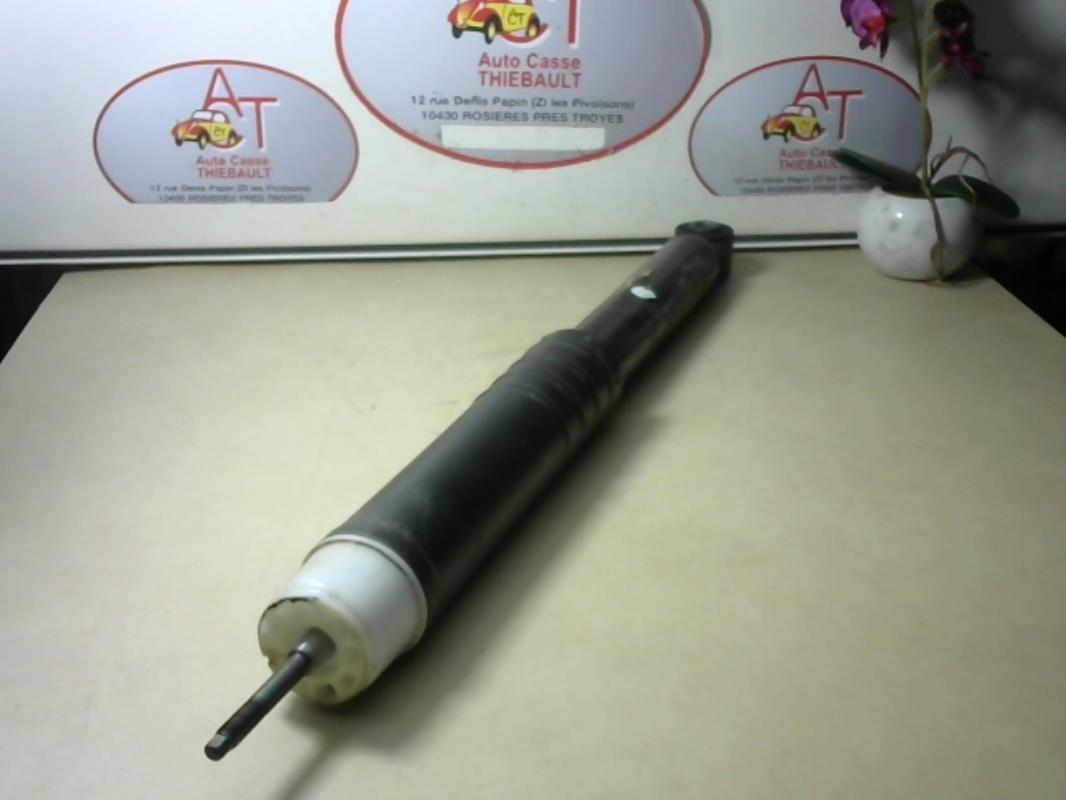 Ammortizzatore posteriore sinistro RENAULT CLIO 4 PHASE 2 Diésel - 1