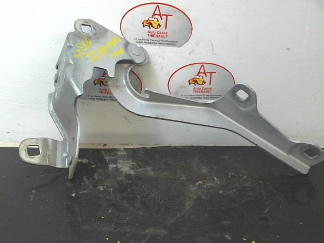 Charniere de capot RENAULT LAGUNA 3 PHASE 2 Diesel - 1