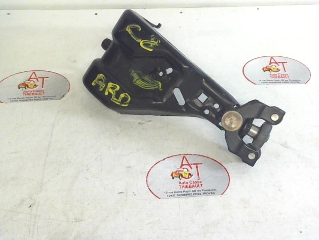 Cerniera portiera posteriore destra CITROEN C8  - 1