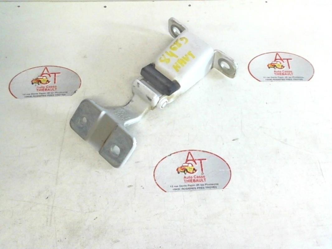 Cerniera portiera posteriore destra RENAULT KANGOO 2 PHASE 2 Diésel - 1