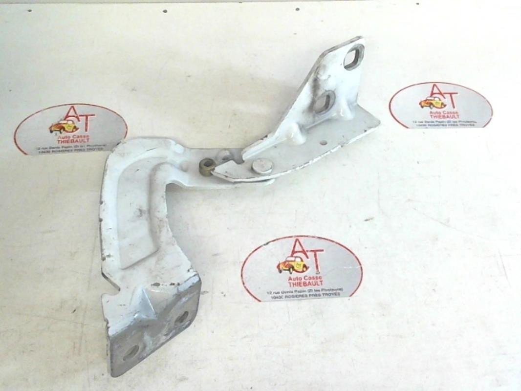 Cerniera portiera posteriore sinistra RENAULT KANGOO 1 PHASE 2  - 1