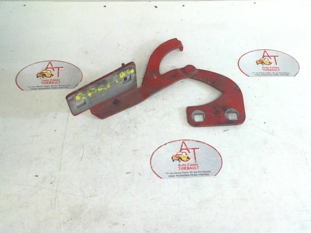 Cerniera portiera posteriore sinistra CITROEN BERLINGO 1 PHASE 1 Diésel - 1