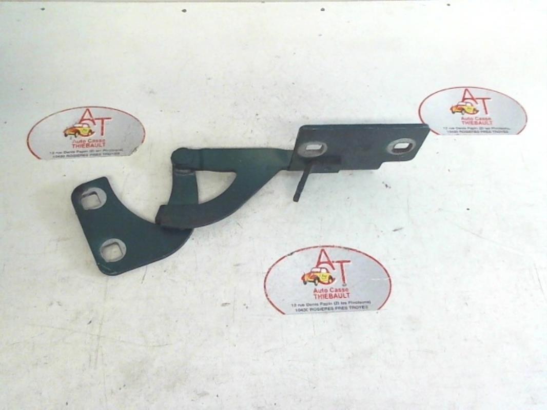 Cerniera portiera posteriore sinistra CITROEN BERLINGO 1 PHASE 1 Diésel - 1
