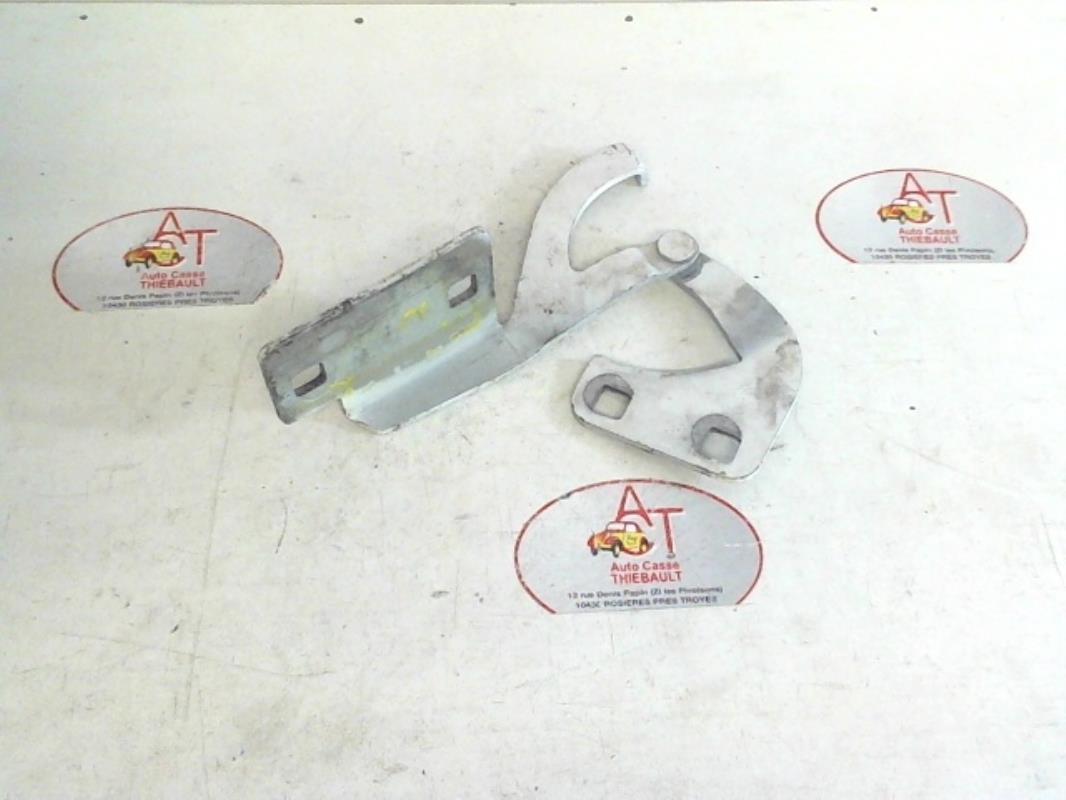 Cerniera portiera posteriore sinistra CITROEN BERLINGO 1 PHASE 1 Diésel - 1