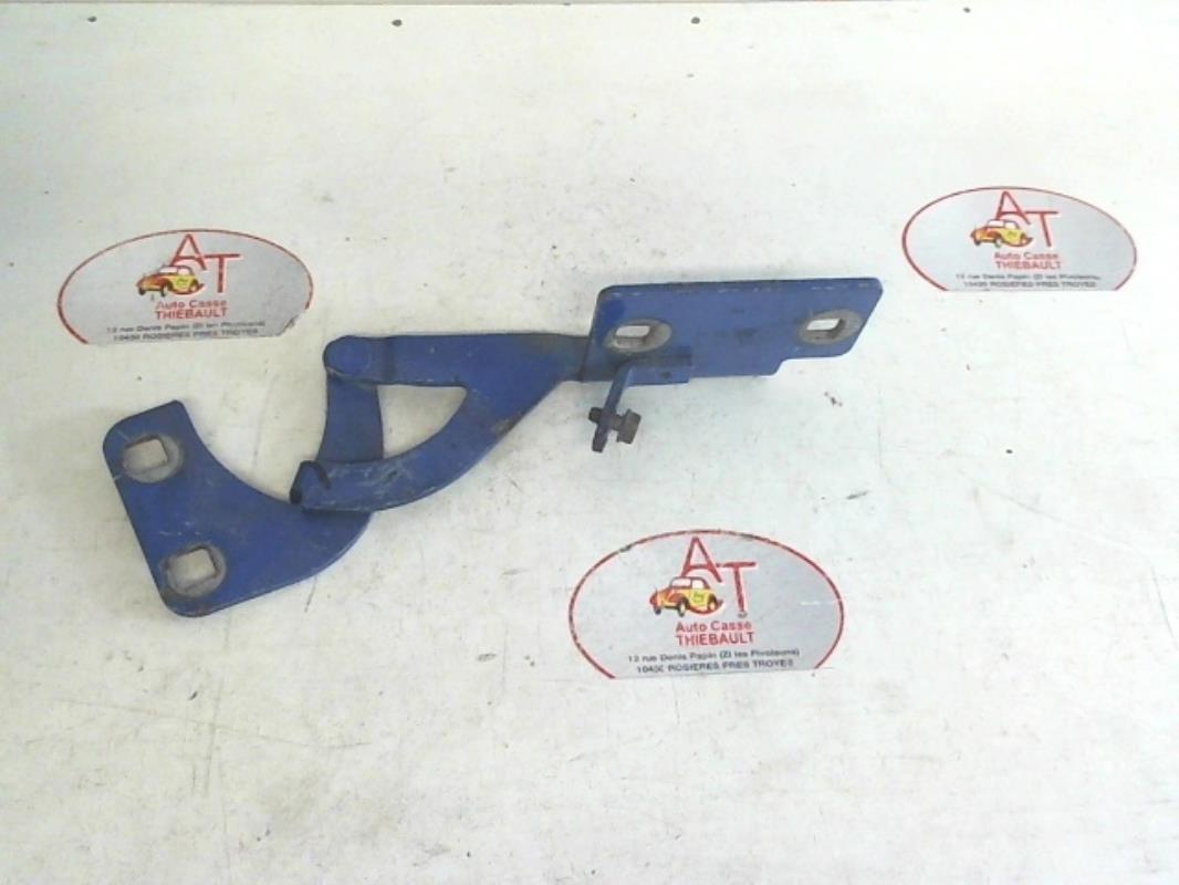 Cerniera portiera posteriore sinistra CITROEN BERLINGO 1 PHASE 1 Diésel - 1