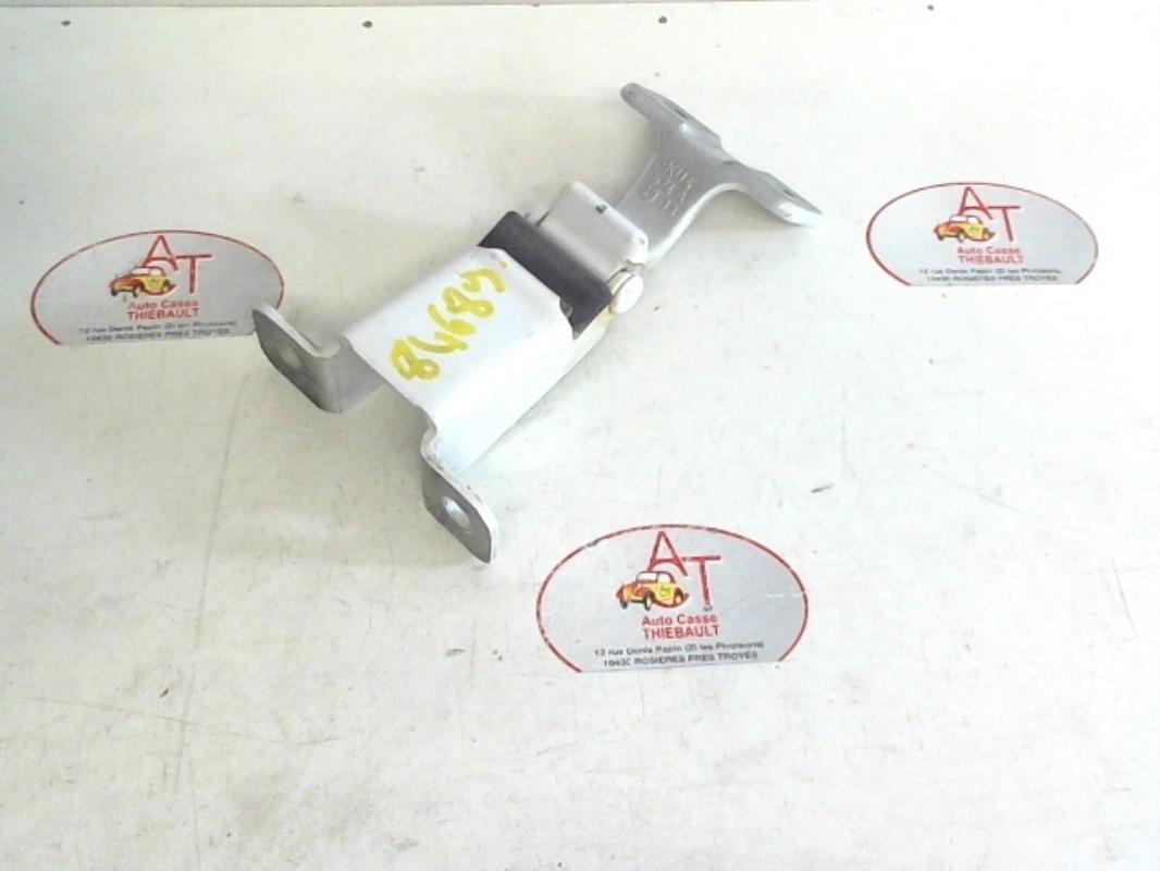Cerniera portiera posteriore sinistra RENAULT KANGOO 2 PHASE 2 Diésel - 1