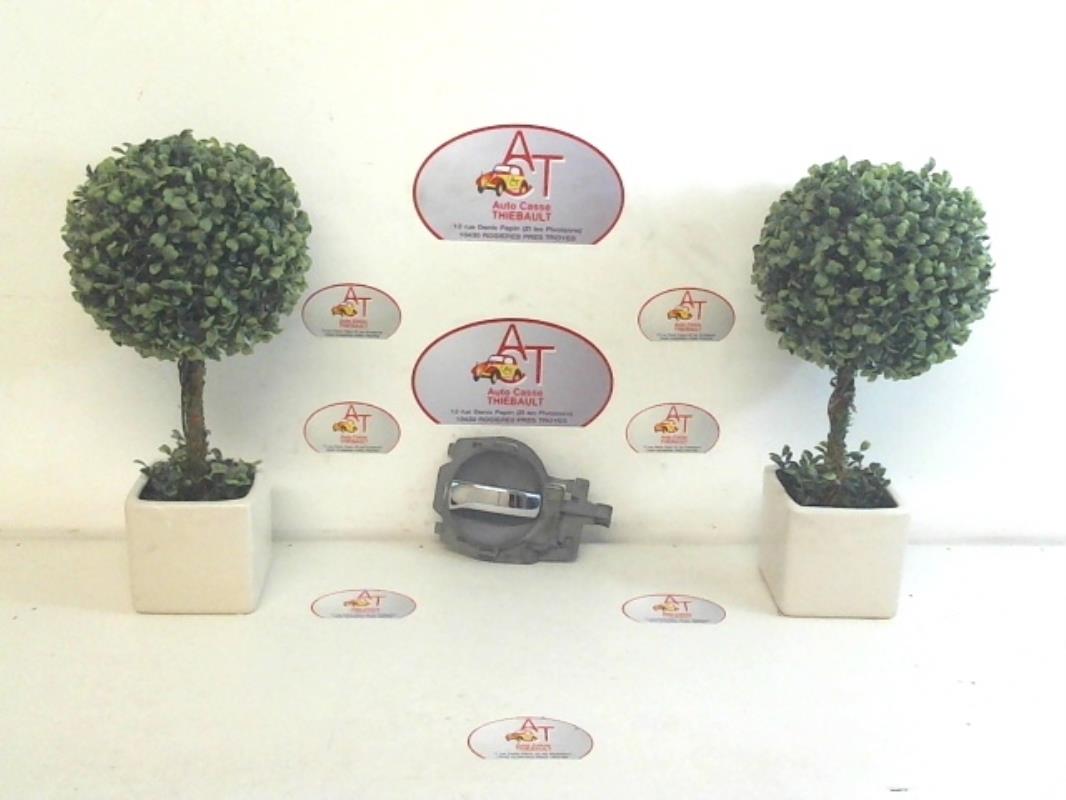 Maniglia interna posteriore sinistra CITROEN C3 1 PHASE 1 Diésel - 1