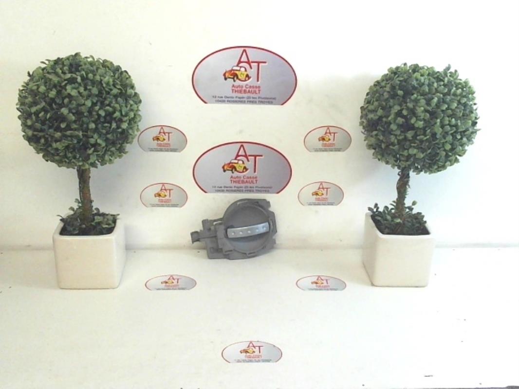 Maniglia interna anteriore destra CITROEN C3 1 PHASE 1 Gasolina - 1