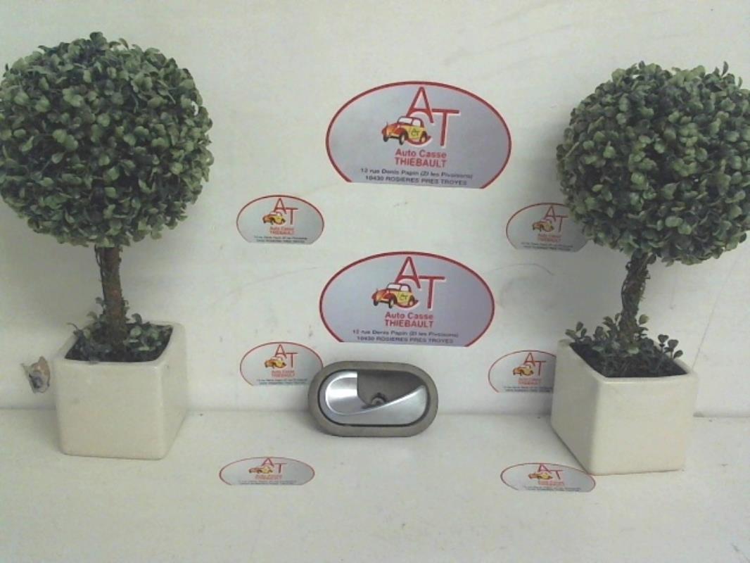 Maniglia interna anteriore sinistra RENAULT GRAND SCENIC 2 PHASE 1 Diésel - 1