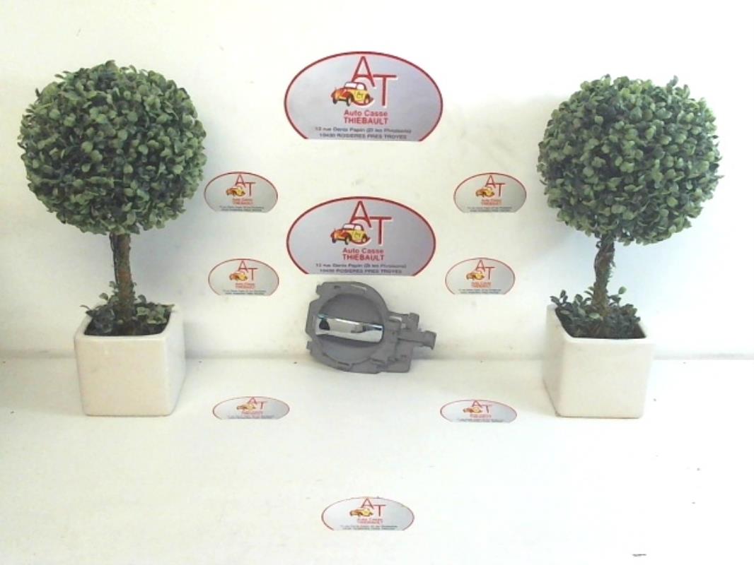 Maniglia interna anteriore sinistra CITROEN C3 1 PHASE 1 Diésel - 1