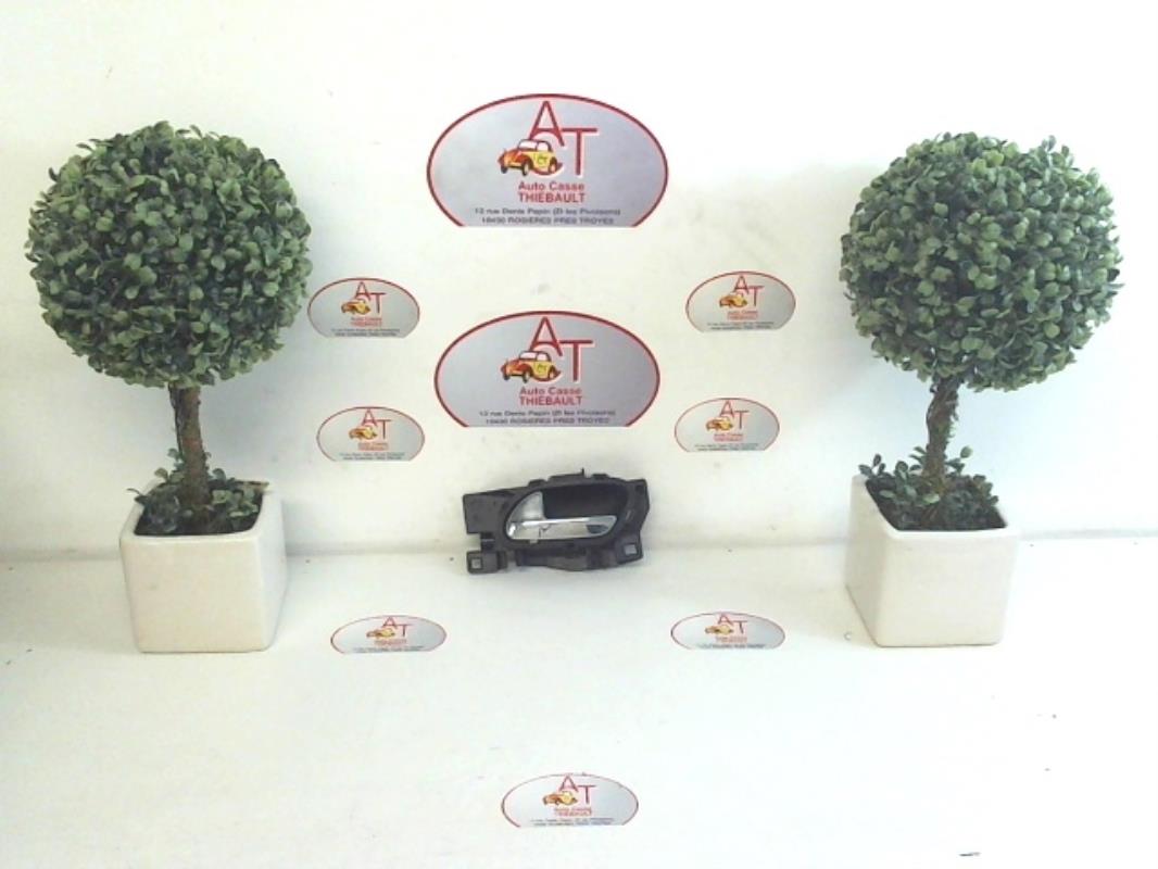 Maniglia interna anteriore sinistra PEUGEOT 207 PHASE 1 Diésel - 1