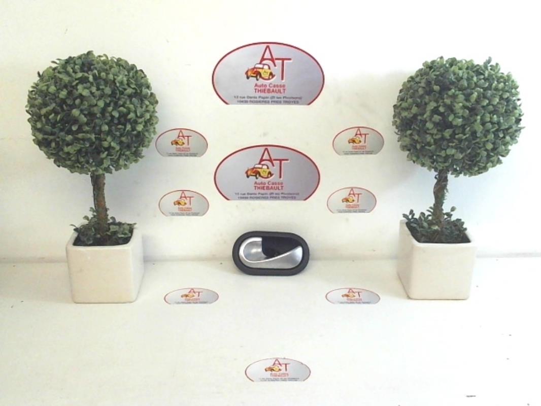 Maniglia interna anteriore sinistra RENAULT GRAND SCENIC 2 PHASE 2 Diésel - 1
