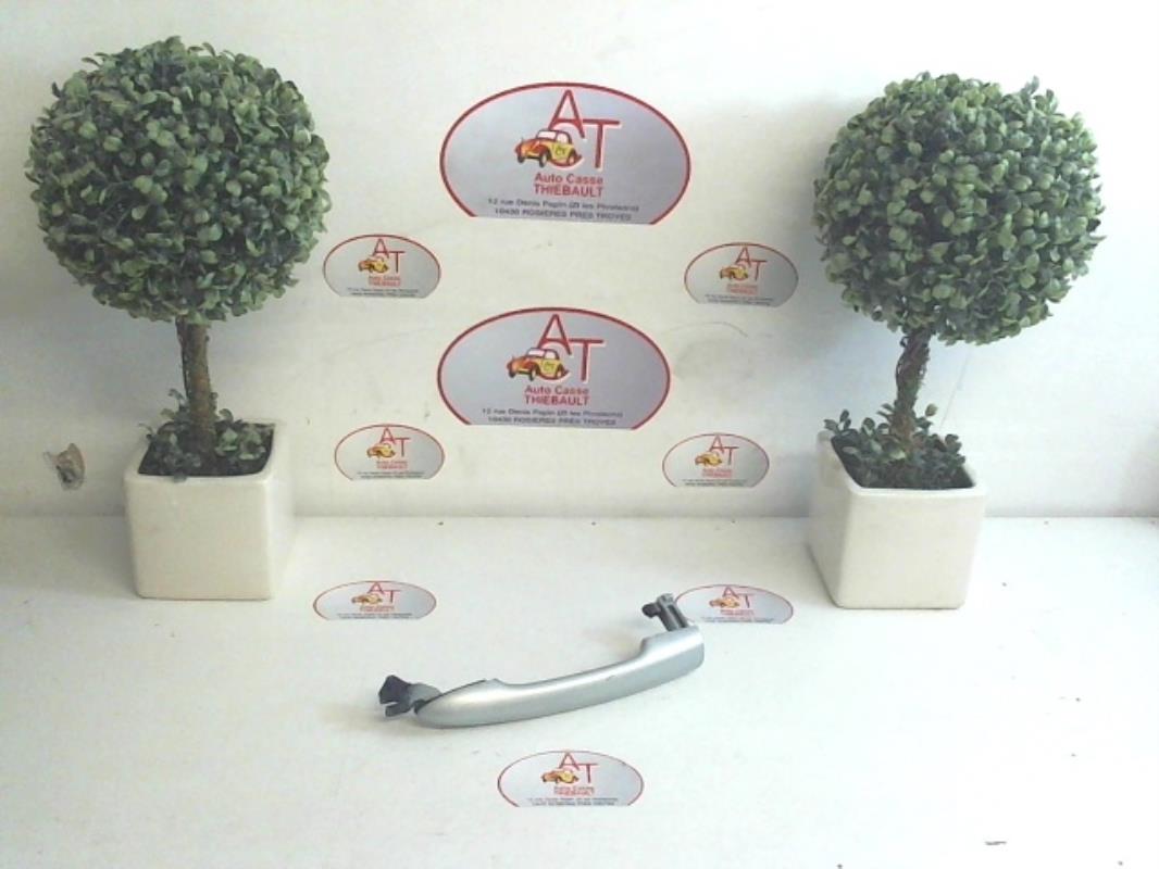Maniglia portiera posteriore destra RENAULT LAGUNA 2 PHASE 1 Gasolina - 1