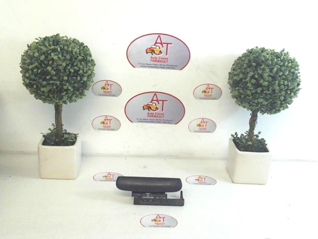 Maniglia portiera anteriore destra CITROEN XSARA PICASSO PHASE 1 Gasolina - 1