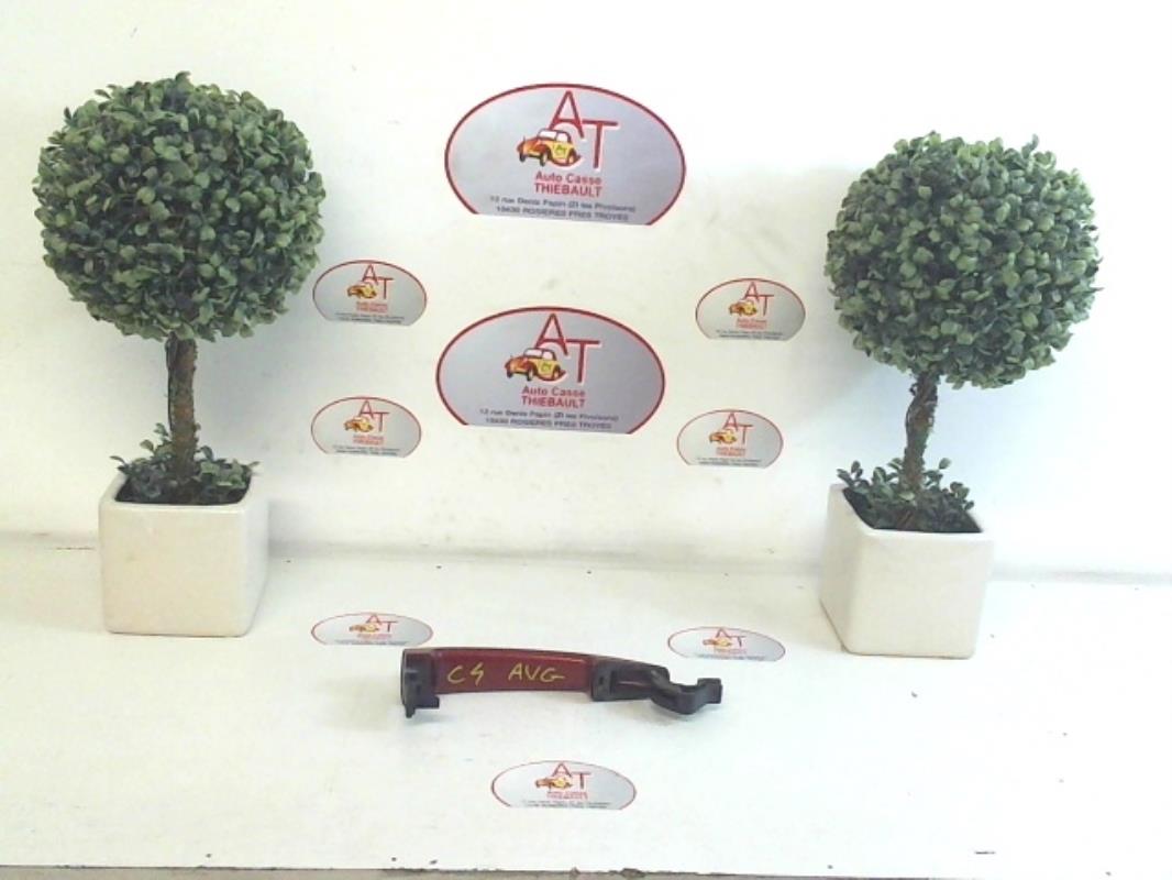 Maniglia portiera anteriore sinistra CITROEN C4 1 PHASE 2 COUPE  - 1