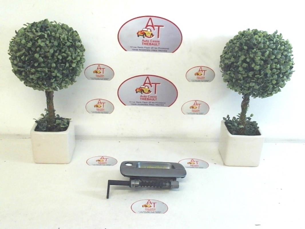 Maniglia portiera anteriore sinistra PEUGEOT 406 PHASE 2 Diésel - 1