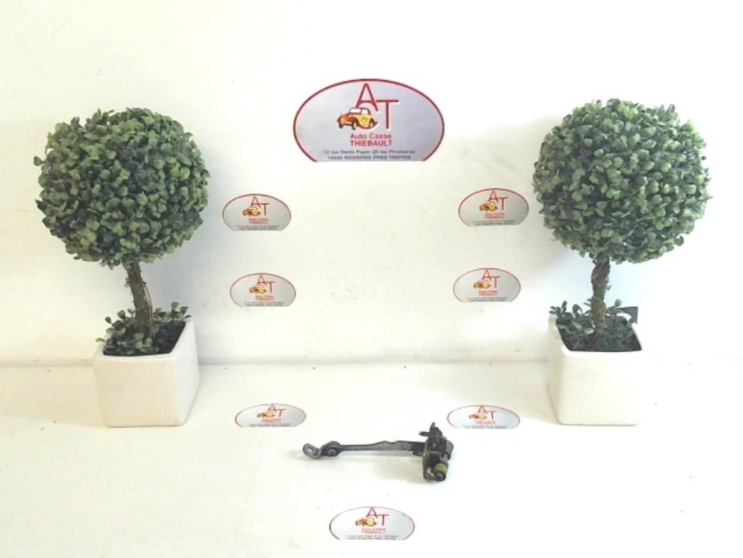 Tirante portiera posteriore destro RENAULT SCENIC 1 PHASE 2 Gasolina - 1