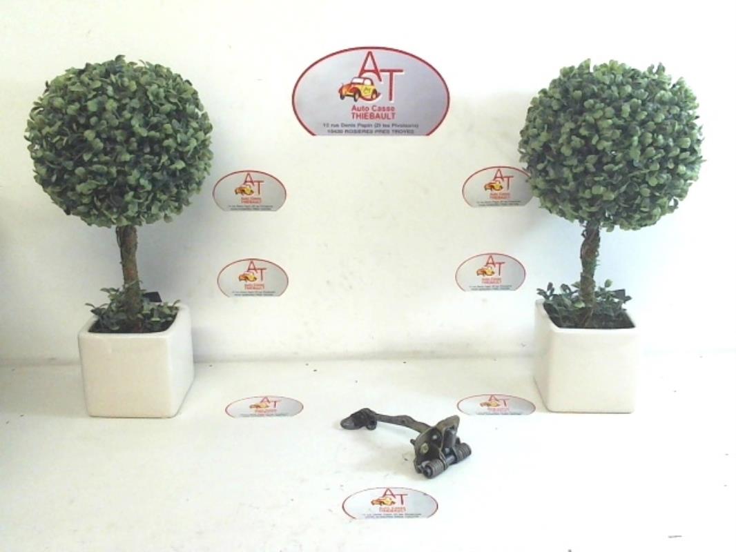 Tirante portiera posteriore destro CITROEN XSARA PICASSO PHASE 2 Diésel - 1