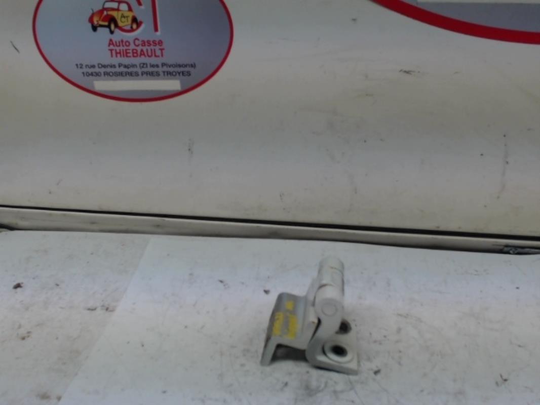 Cerniera portiera posteriore sinistra PEUGEOT BIPPER Diésel - 1