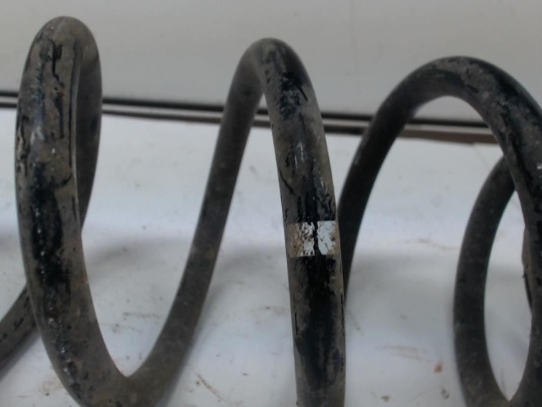 Molla sospensione posteriore sinistra VOLKSWAGEN GOLF 5 Diésel - 1