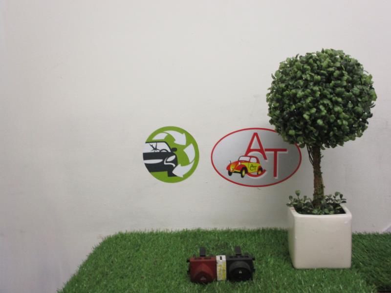 Bouton de warning RENAULT MEGANE 2 PHASE 1 Diesel - 1