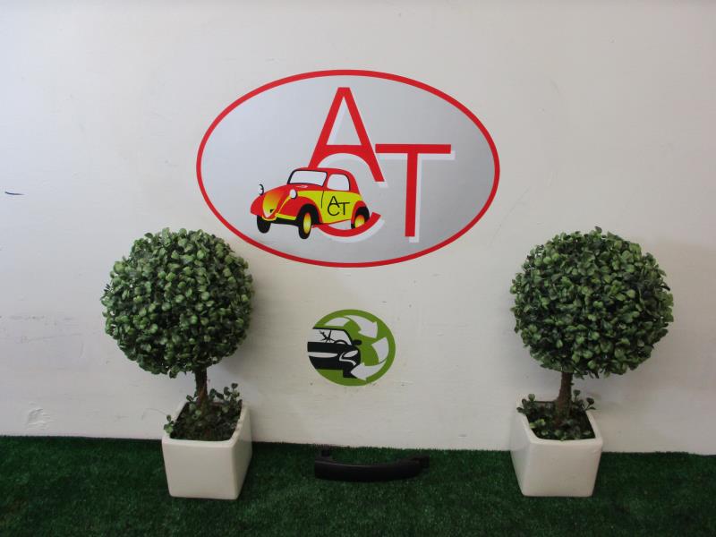 Maniglia portiera anteriore sinistra VOLKSWAGEN POLO 5 PHASE 1 Gasolina - 1