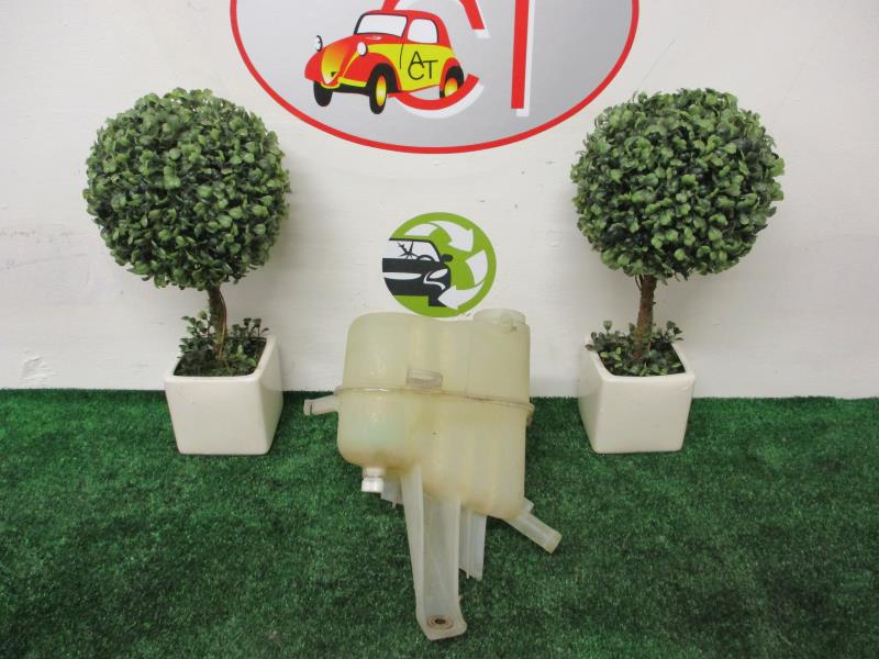 Vaso di espansione CADILLAC STS 1 Gasolina - 1