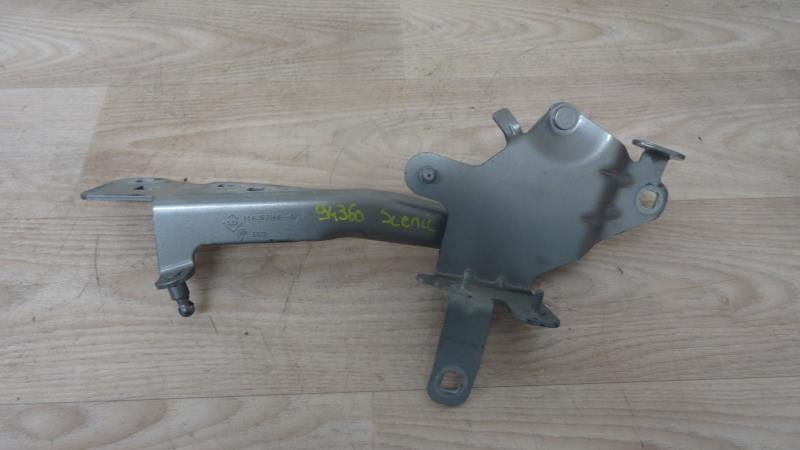Charniere de capot RENAULT SCENIC 3 PHASE 1 Ethanol - 1