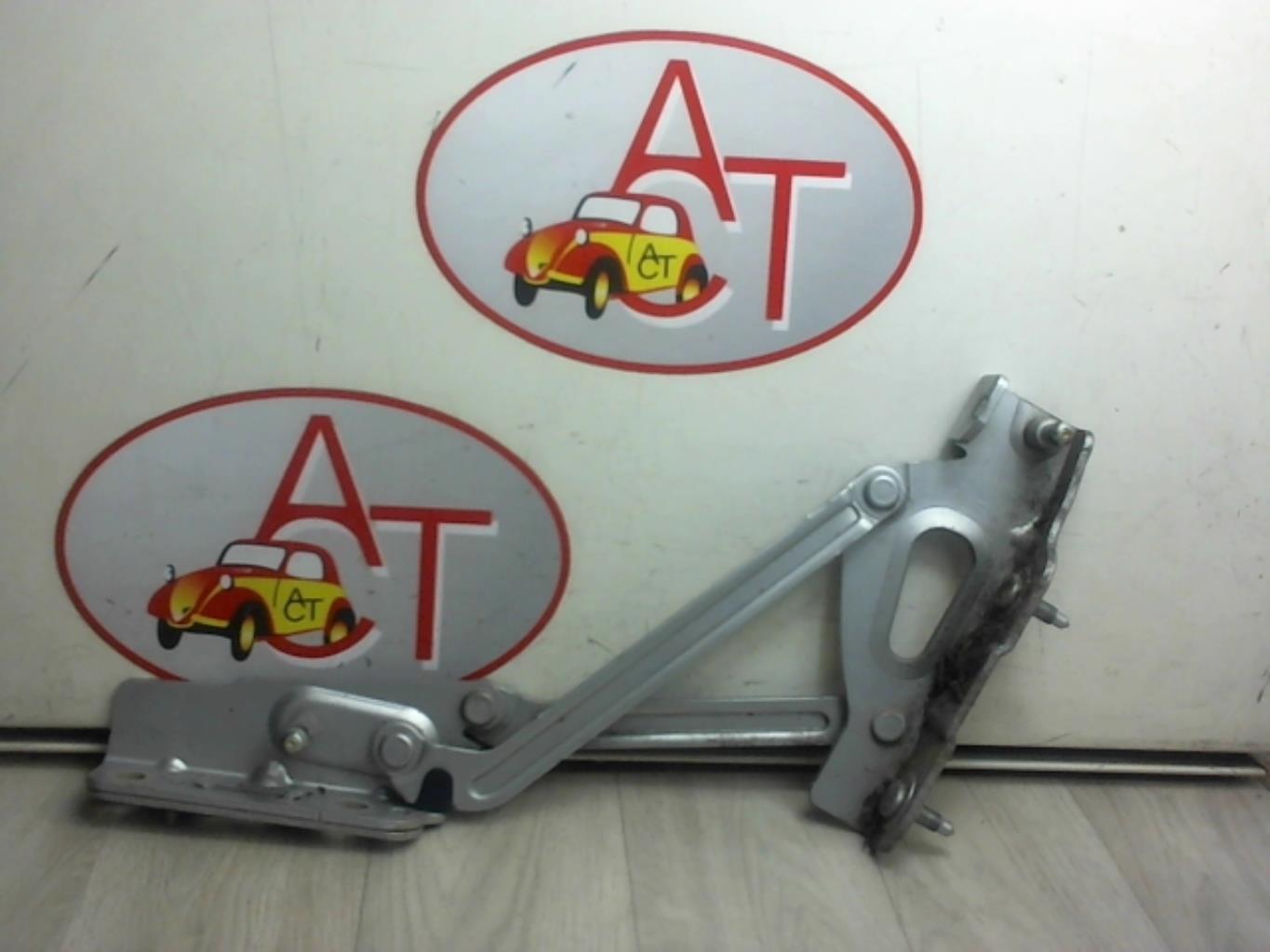 Cerniera portellone posteriore PEUGEOT 407 COUPE Gasolina - 1