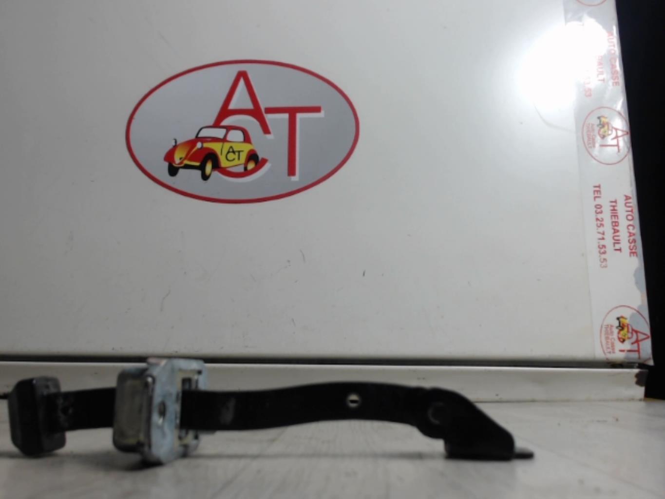 Tirante portiera anteriore sinistro RENAULT MEGANE 4 PHASE 1 Gasolina - 1