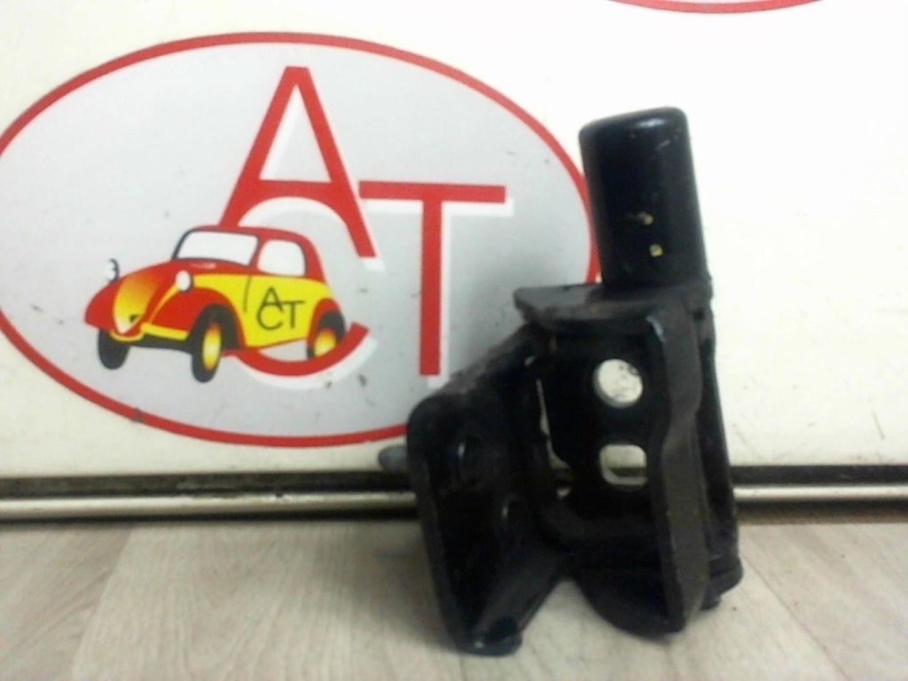 Cerniera portiera posteriore sinistra RENAULT CLIO 3 PHASE 1 Gasolina - 1