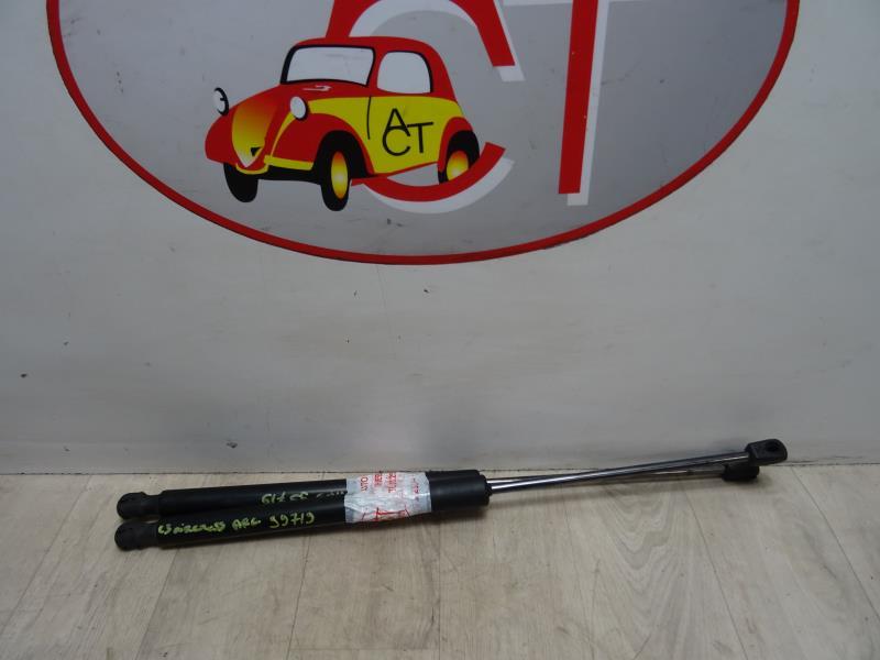 Molla a gas bagagliaio CITROEN C3 AIRCROSS PHASE 1 Diésel - 1