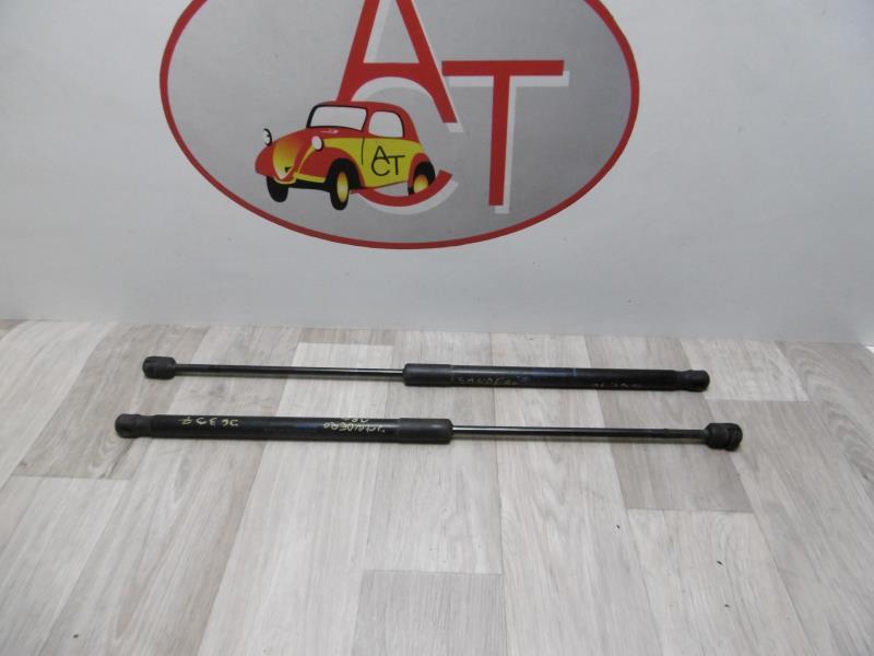Verin de coffre DACIA SANDERO 1 Essence/GPL - 1