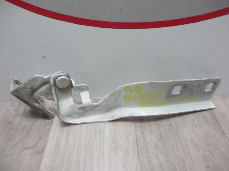 Cerniera cofano FIAT DUCATO 3  - 1