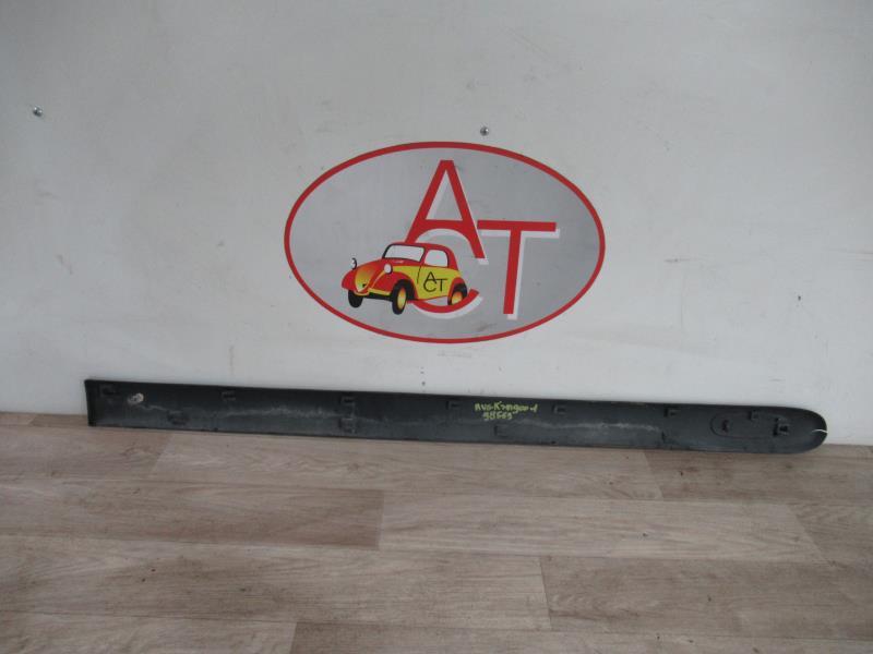 Modanatura portiera anteriore sinistra RENAULT KANGOO 1 PHASE 1 Diésel - 1