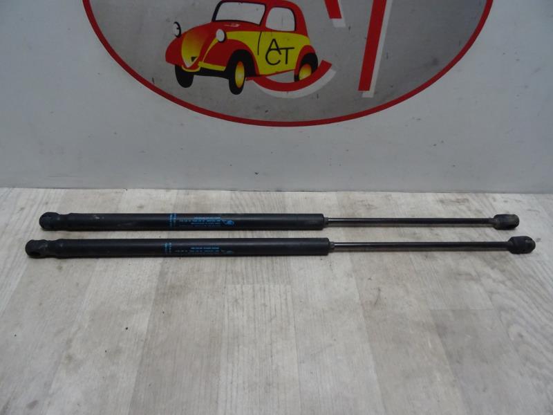 Molla a gas bagagliaio PEUGEOT 1007 Diésel - 1