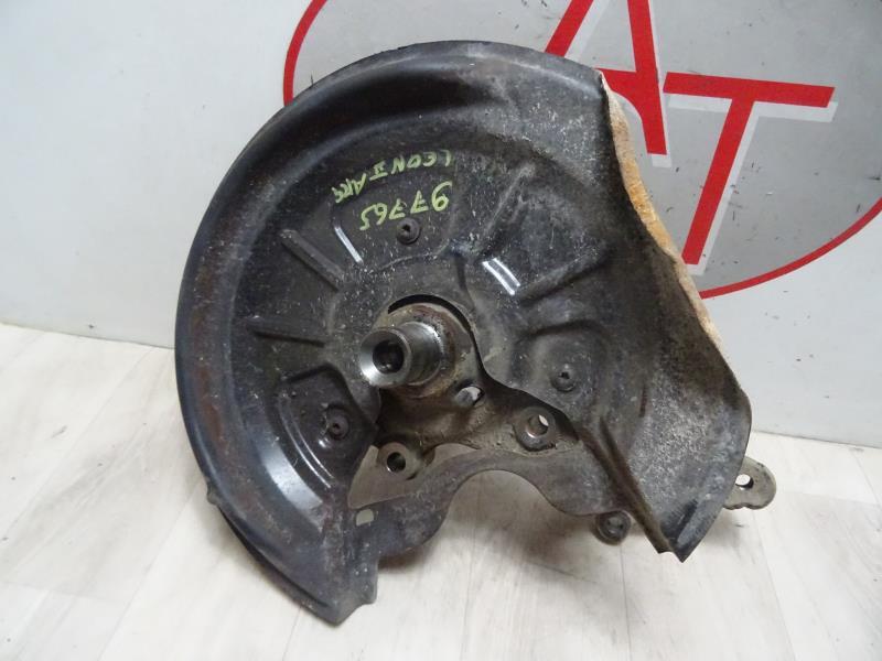 Fusee arriere gauche SEAT LEON 2 PHASE 2 Diesel - 1
