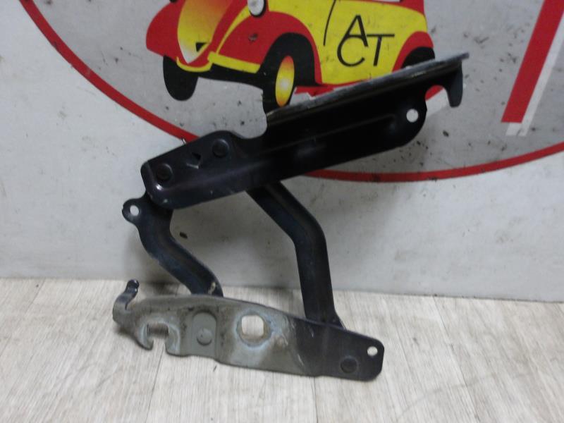 Cerniera cofano FORD FIESTA 6 PHASE 1 Diésel - 1